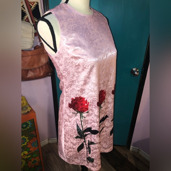 Baby Pink Red Rose Shift Dress 🌹 - Picture 2 of 15